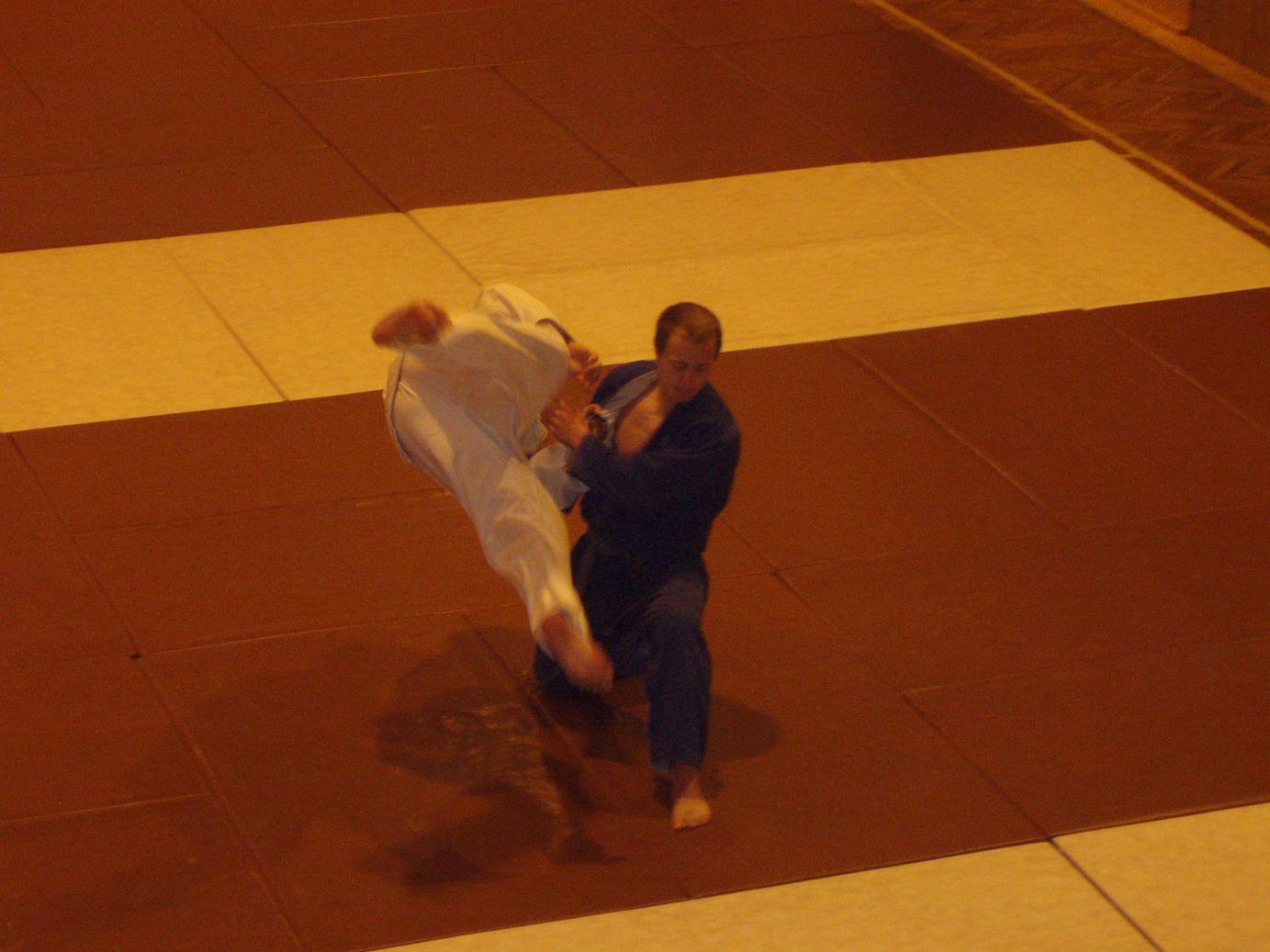 Jiu-Jitsu (2).JPG