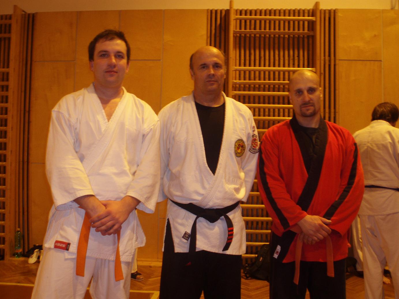 Jiu-Jitsu (3).JPG